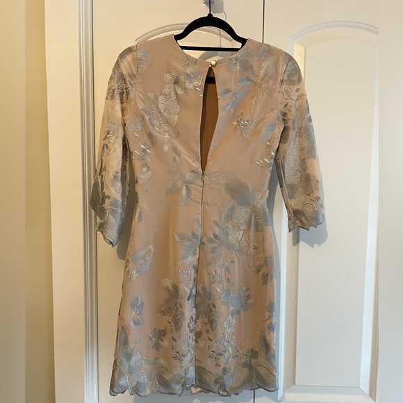 Dress the Population Paige Nude Sheath Dress Silver Embroidery - Picture 5 of 11